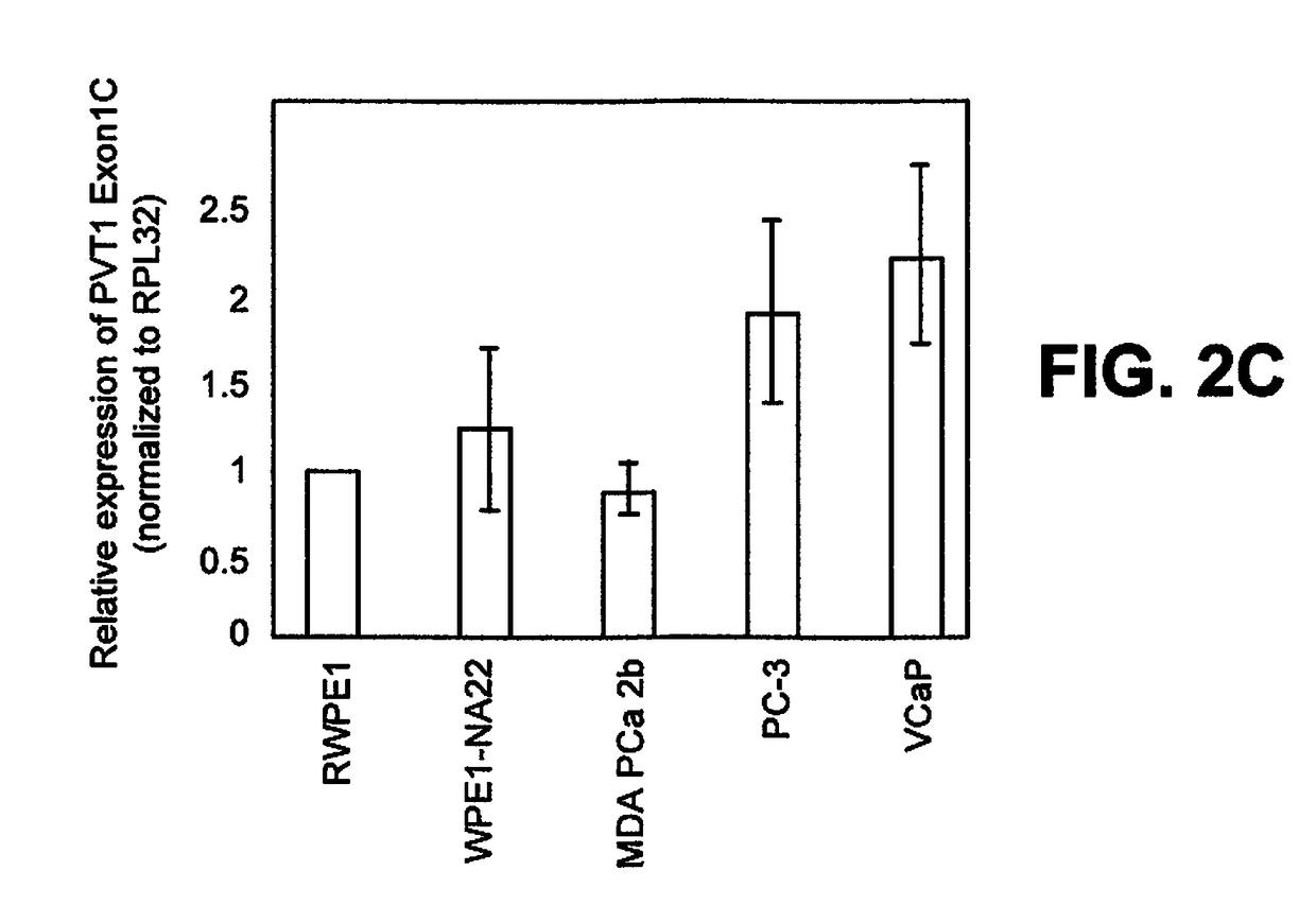 Methods of using pvt1 exon 9 to diagnose and treat prostate cancer