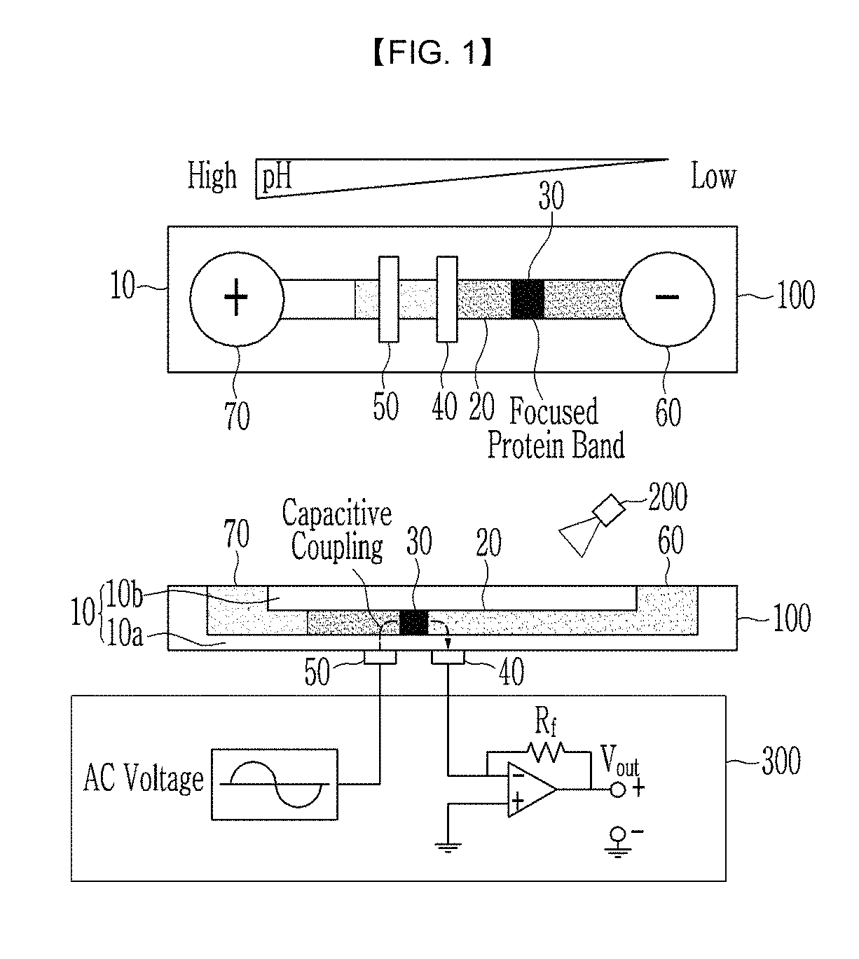 Nonvolatile protein memory system with optical write/erase and electrical readout capability