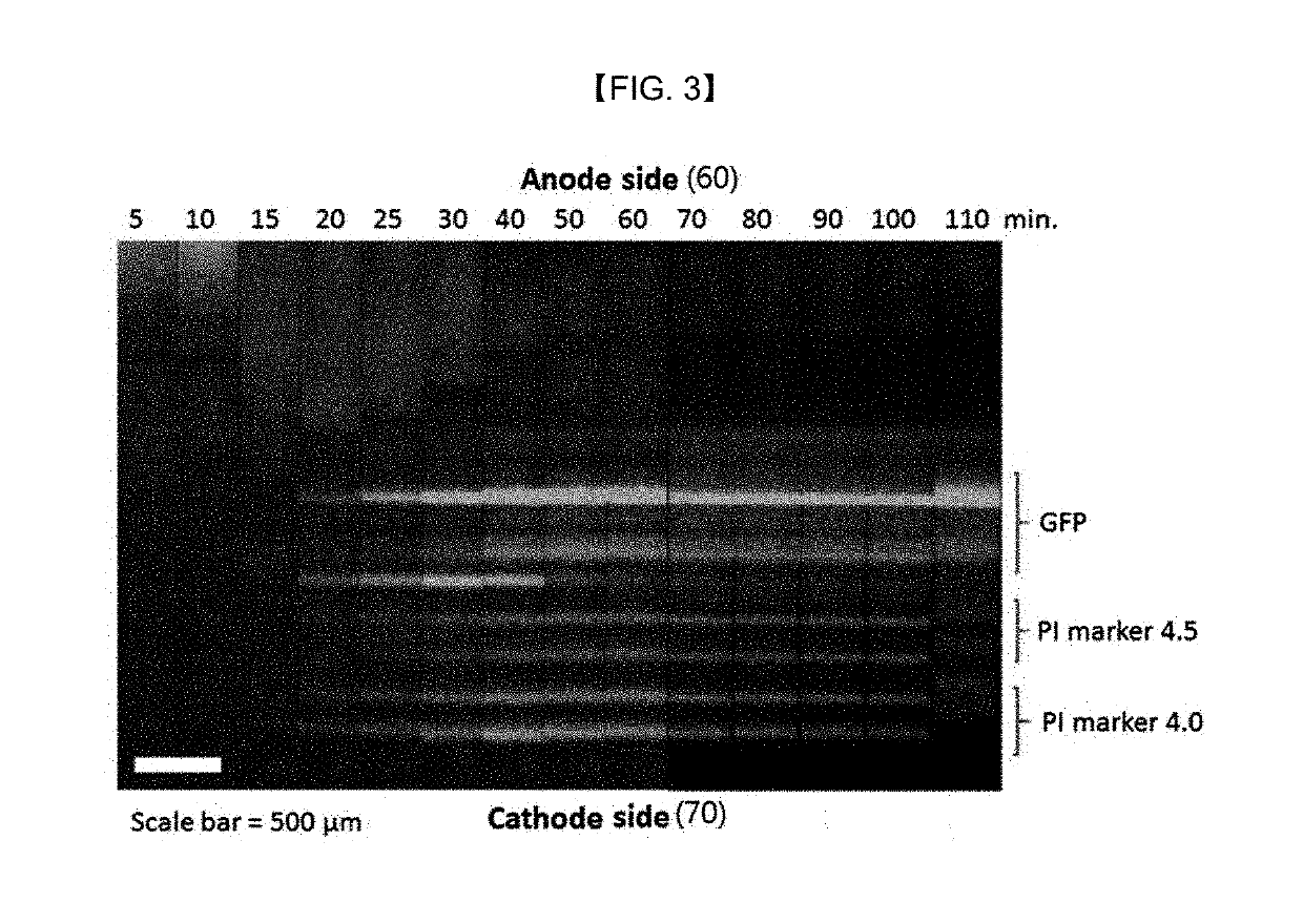 Nonvolatile protein memory system with optical write/erase and electrical readout capability