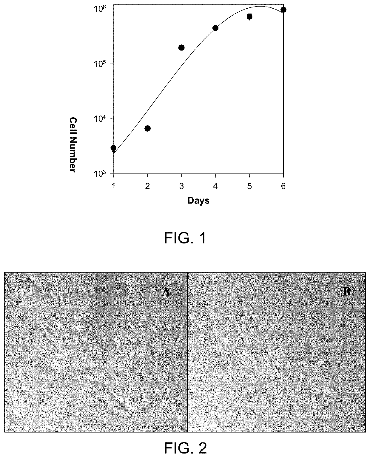 Use of cells derived from first trimester umbilical cord tissue