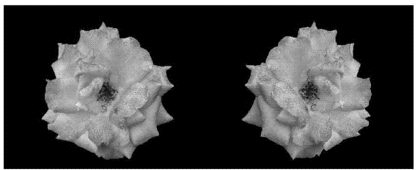 Objective evaluation method for quality of three-dimensional image based on improved structural similarity