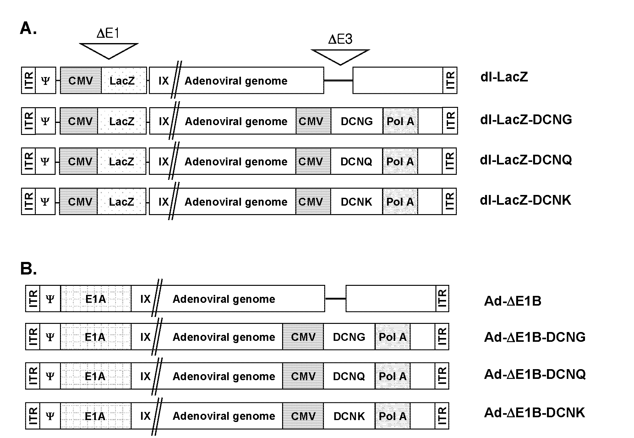 Decorin Gene Delivery System And Cancer Treatment