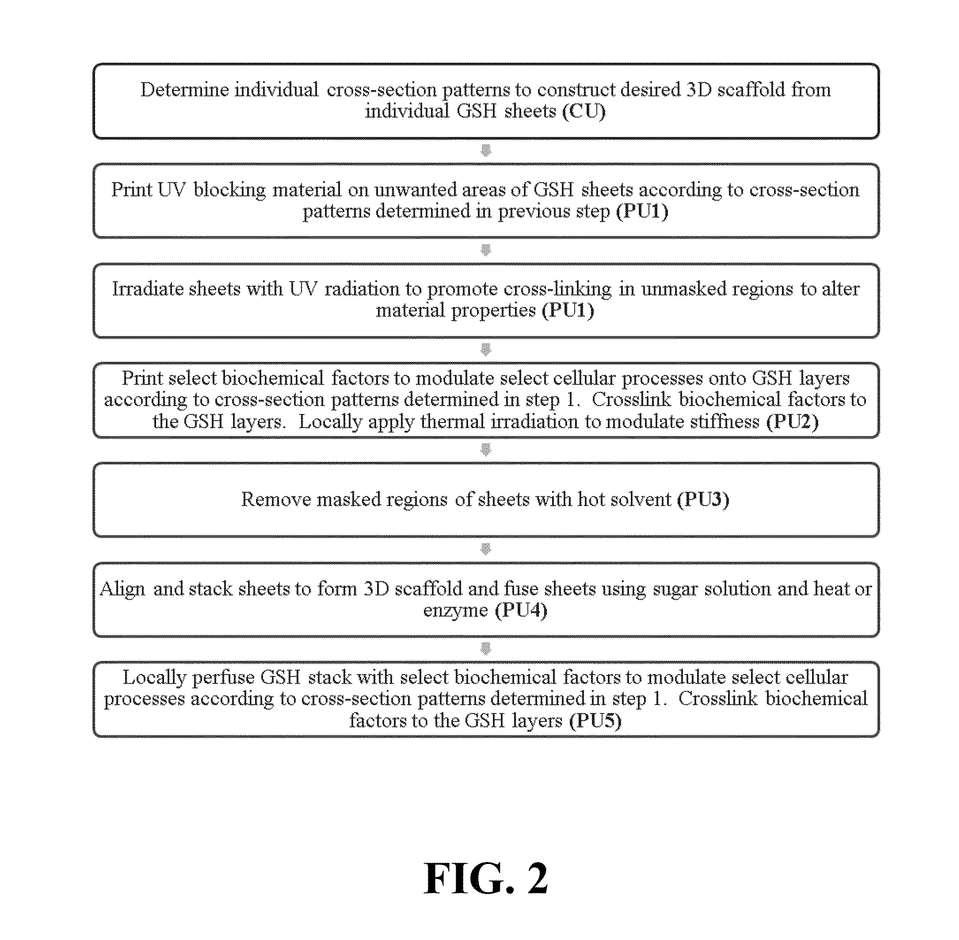 Methods and apparatus for building complex 3D scaffolds and biomimetic scaffolds built therefrom