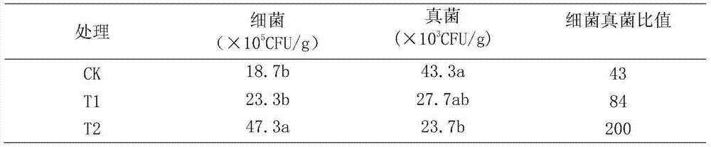 Method for alleviating continuous cropping obstacle of apples by mixing cropping of fruits and dwarf shallow root crops