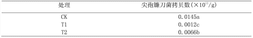 Method for alleviating continuous cropping obstacle of apples by mixing cropping of fruits and dwarf shallow root crops