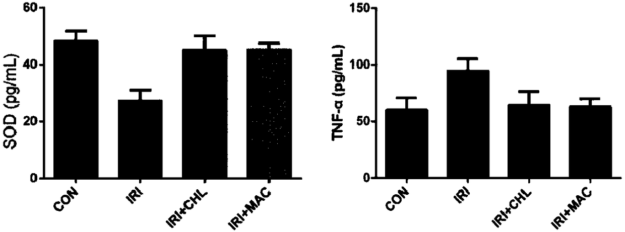 Combined medicine for treating colorectal cancer