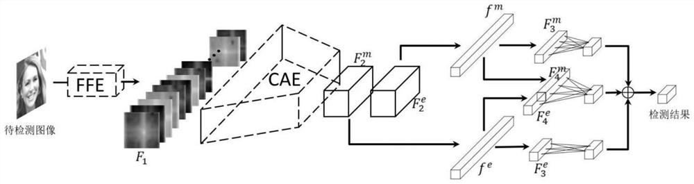 Deep counterfeit image detection method fusing depth learning and width learning