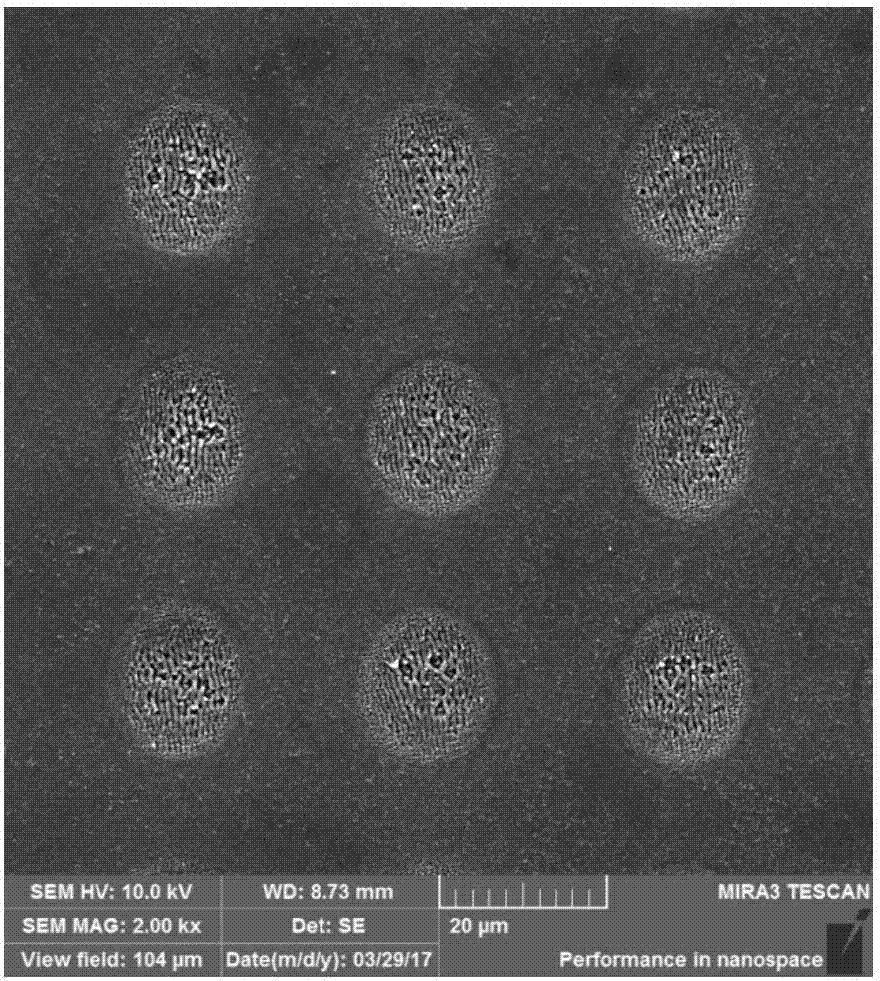 Super-hydrophobic transparent glass and preparation method thereof