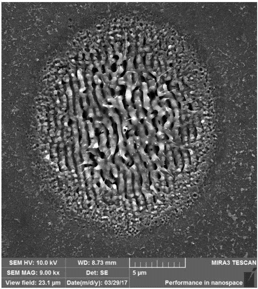 Super-hydrophobic transparent glass and preparation method thereof