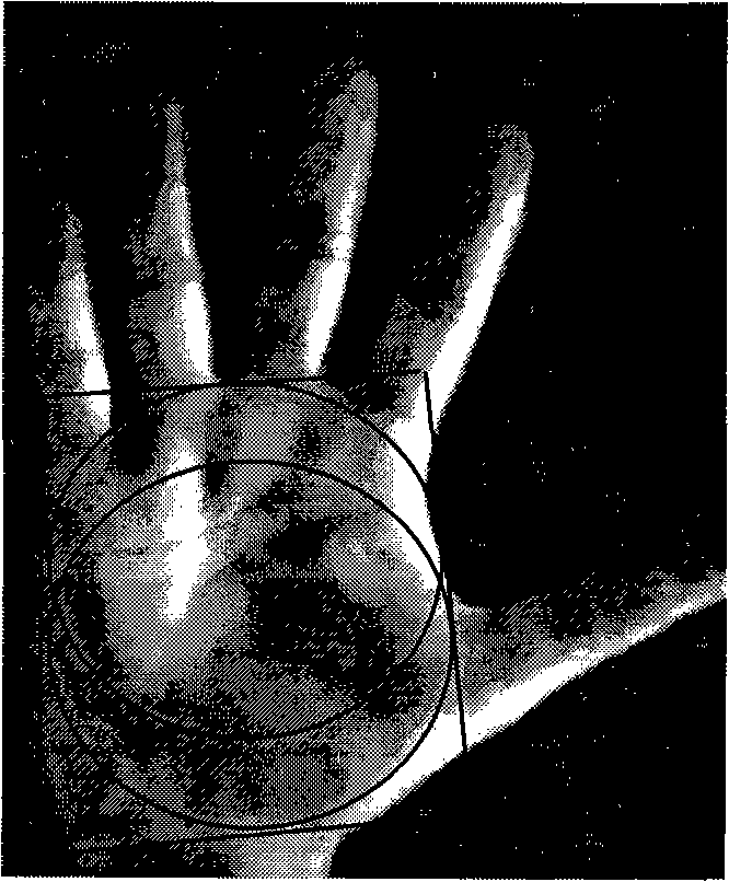 Method for acquiring palm print characteristics as well as corresponding personal identification method based on palm print