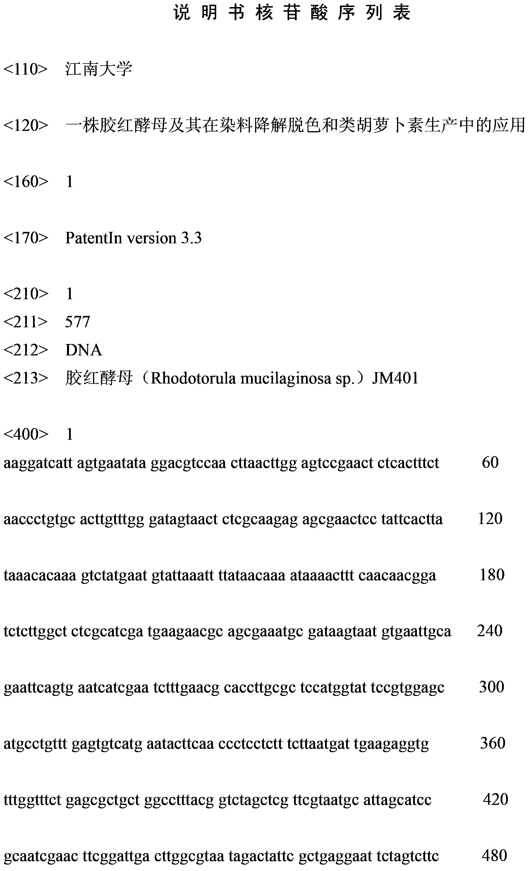 Rhodotorula mucilaginosa and application thereof in degradation and decoloring of dyes and production of carotenoid