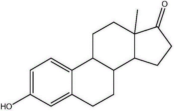 Co-detecting method for environmental estrogens in surface water body