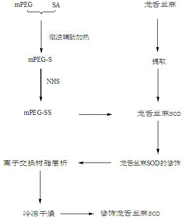 Preparation method of freeze-dried powder for modifying ixtle SOD