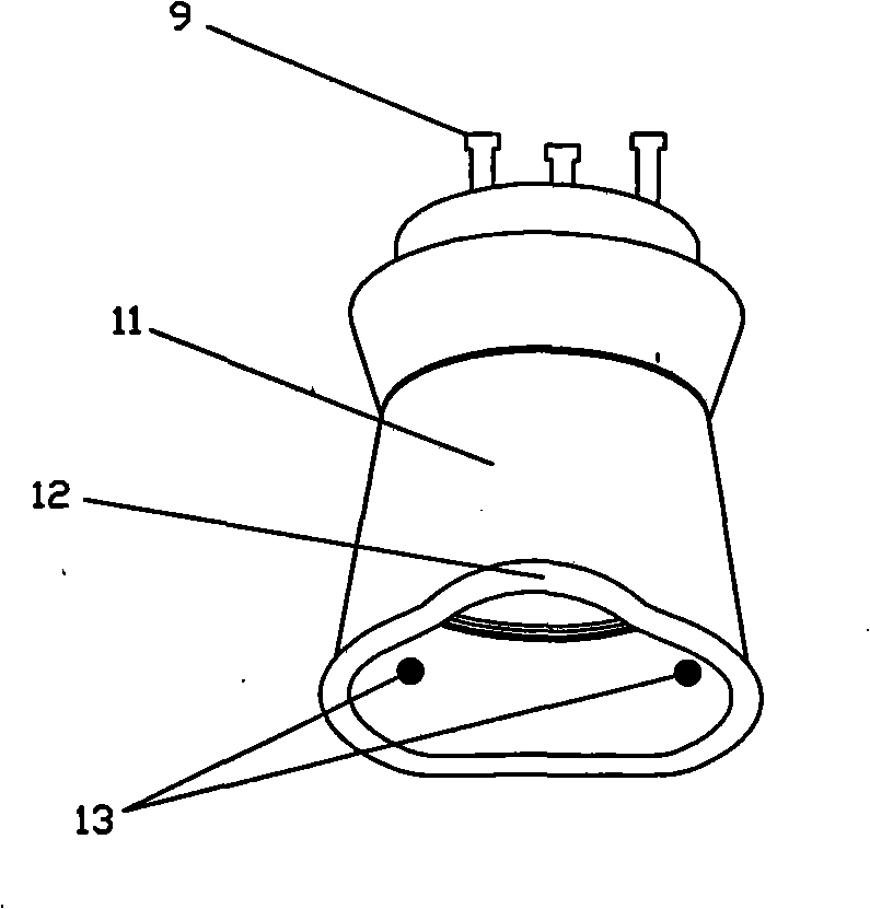 Iris diagnostic device