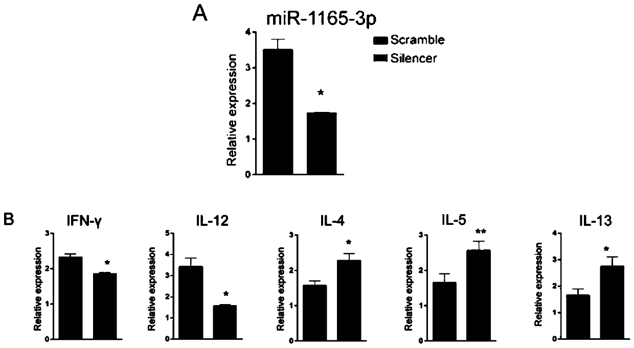 Application of miR-1165-3p in preparation or screening of drugs for inhibiting Th2 cell differentiation