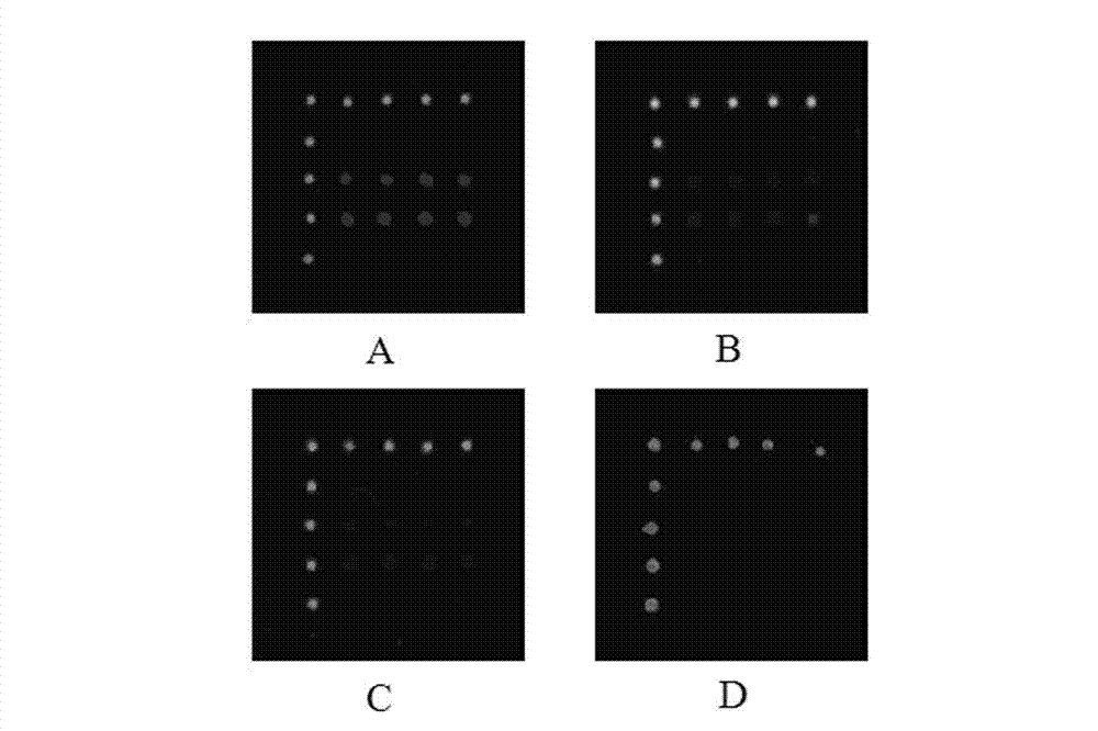 Detection chip for drug resistance gene of bacteria, and application thereof