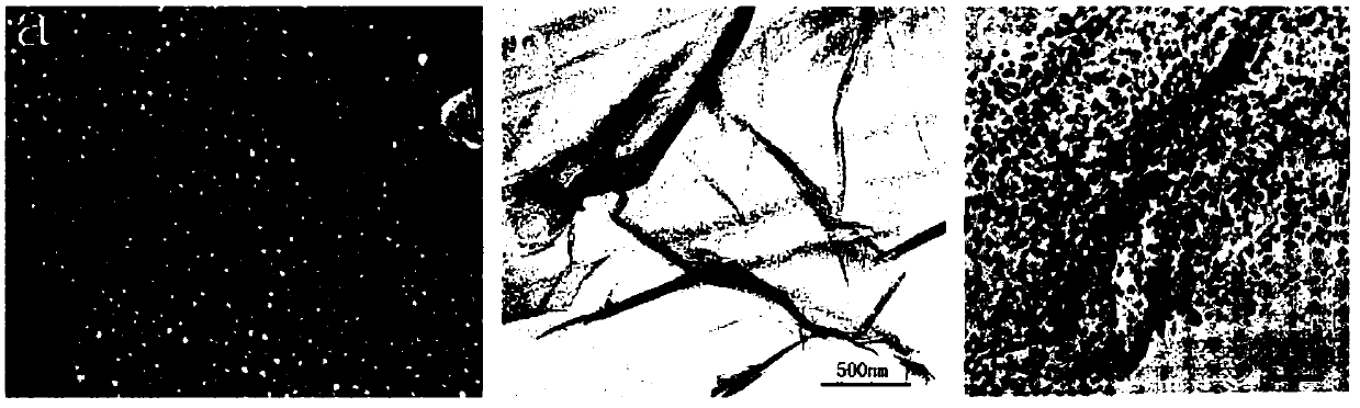 Nano-silver loaded graphene antibacterial agent and graphene in-situ reduction nano-silver loaded water-based antibacterial coating