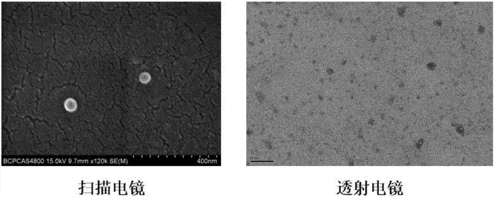 Mithramycin nano-particle suspension and preparation method thereof