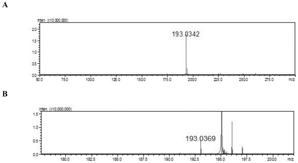 Method for establishing recombinant yeast for biologically synthesizing glucuronic acid