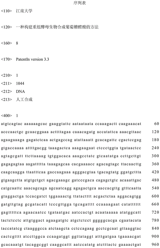 Method for establishing recombinant yeast for biologically synthesizing glucuronic acid