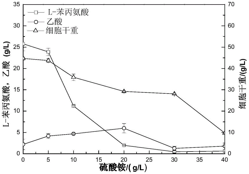 A method for producing phenylalanine by microbial fermentation