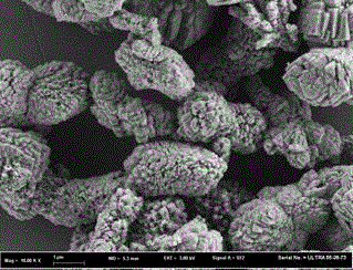 A kind of method utilizing ferulic acid to regulate and prepare calcium carbonate crystal particles