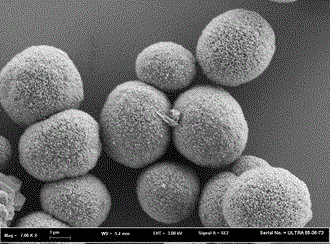 A kind of method utilizing ferulic acid to regulate and prepare calcium carbonate crystal particles