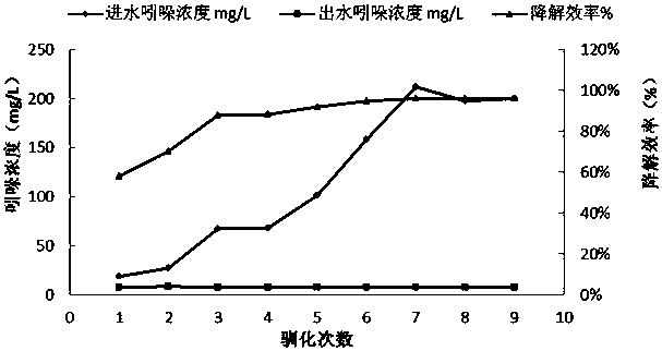 A kind of composite bacterial agent for degrading indole and its reaction device