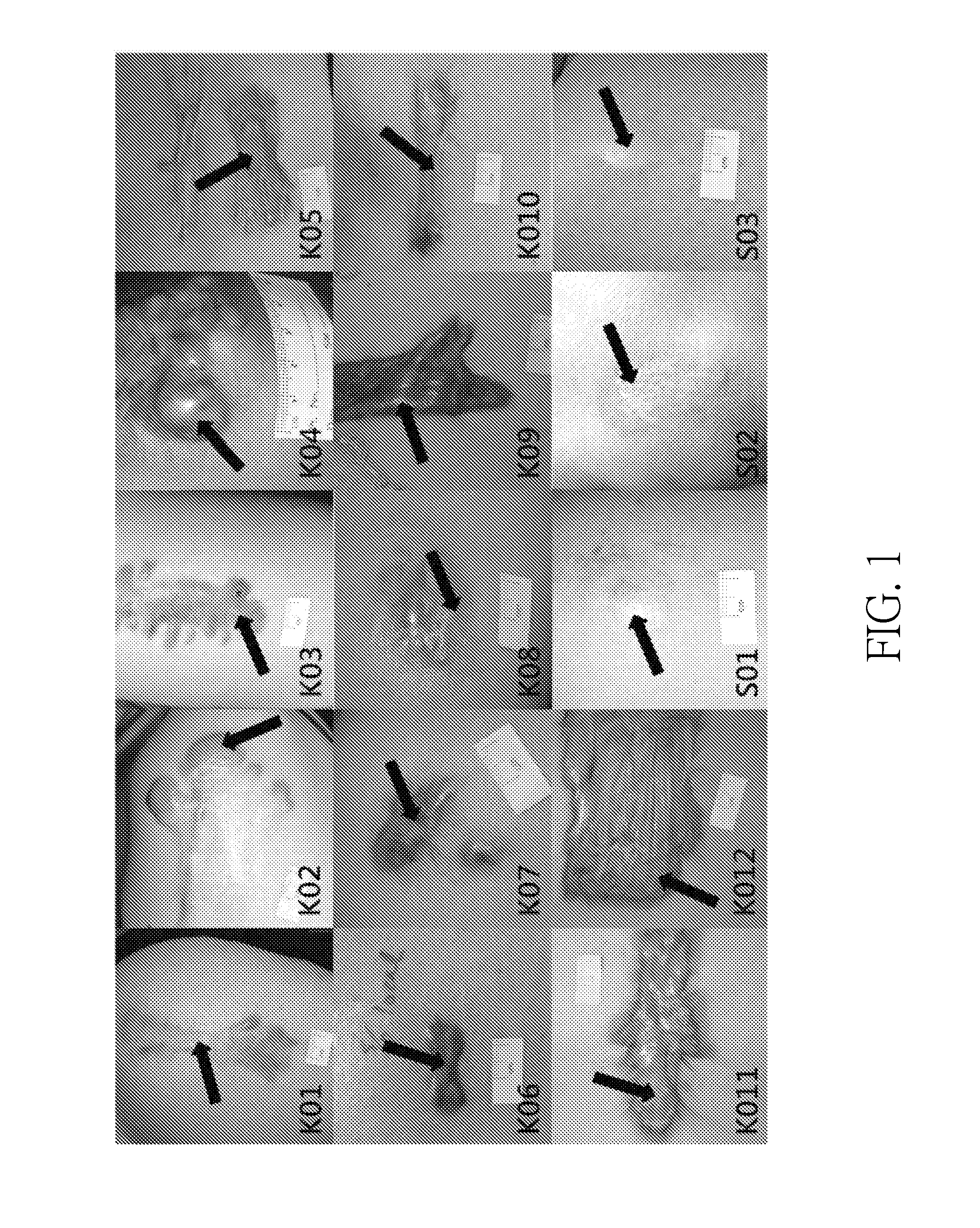 Method and optical system for evaluating concentrations of components in tissue