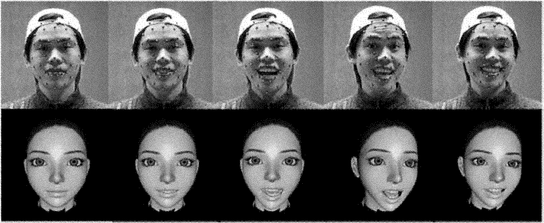 Data driving face expression synthesis method based on Laplace transformation