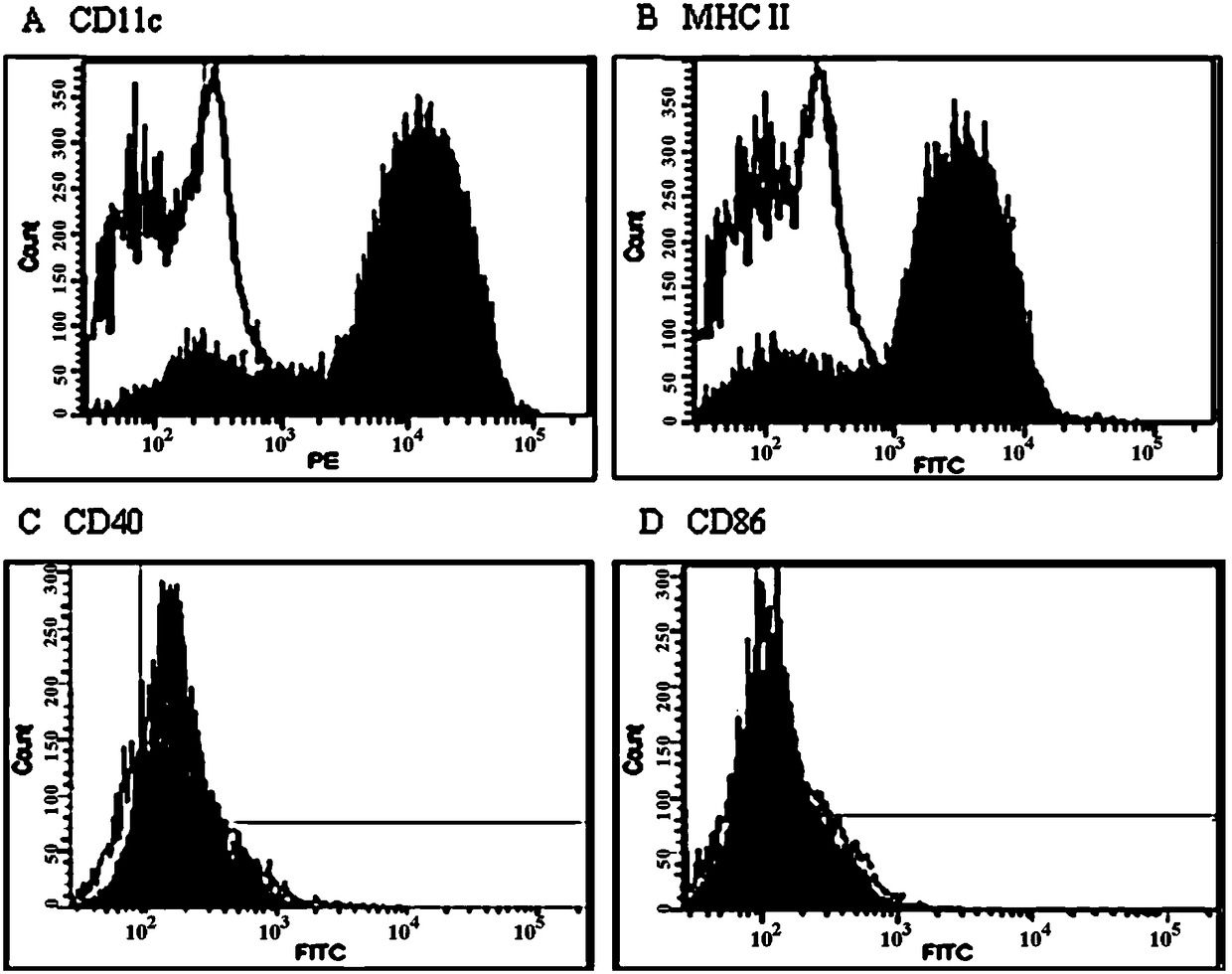 Chicken marrow-derived dendritic cell (DC) targeting peptide AH and application thereof