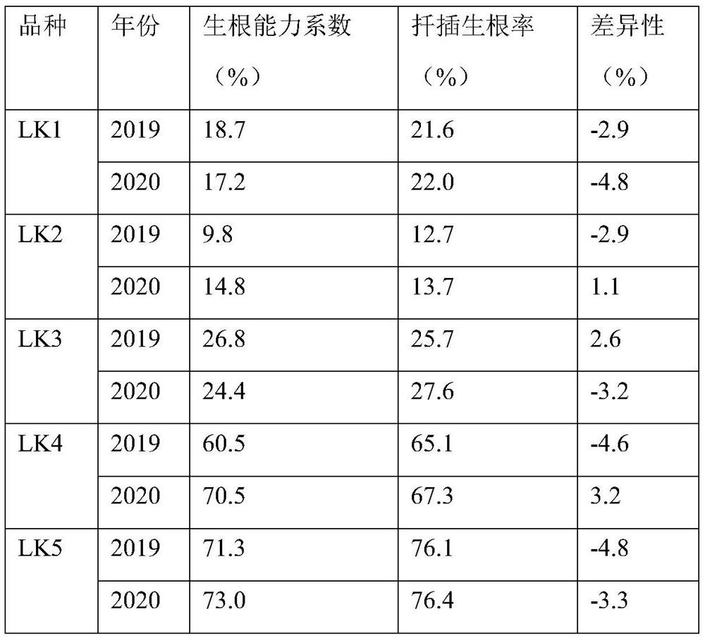 Method for pre-judging rooting ability of tea tree variety