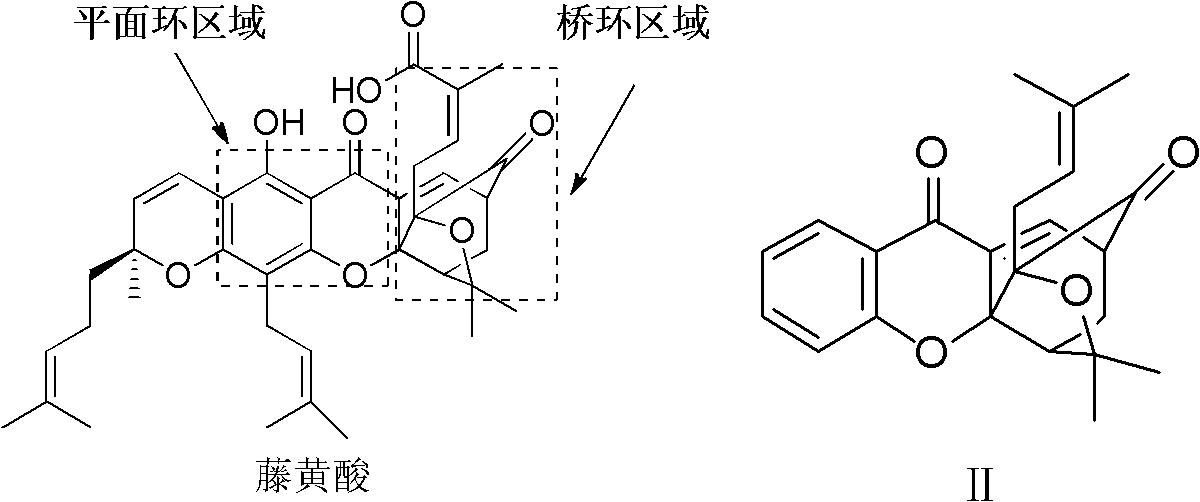 Garcinia derivative and preparation method and medicinal application thereof