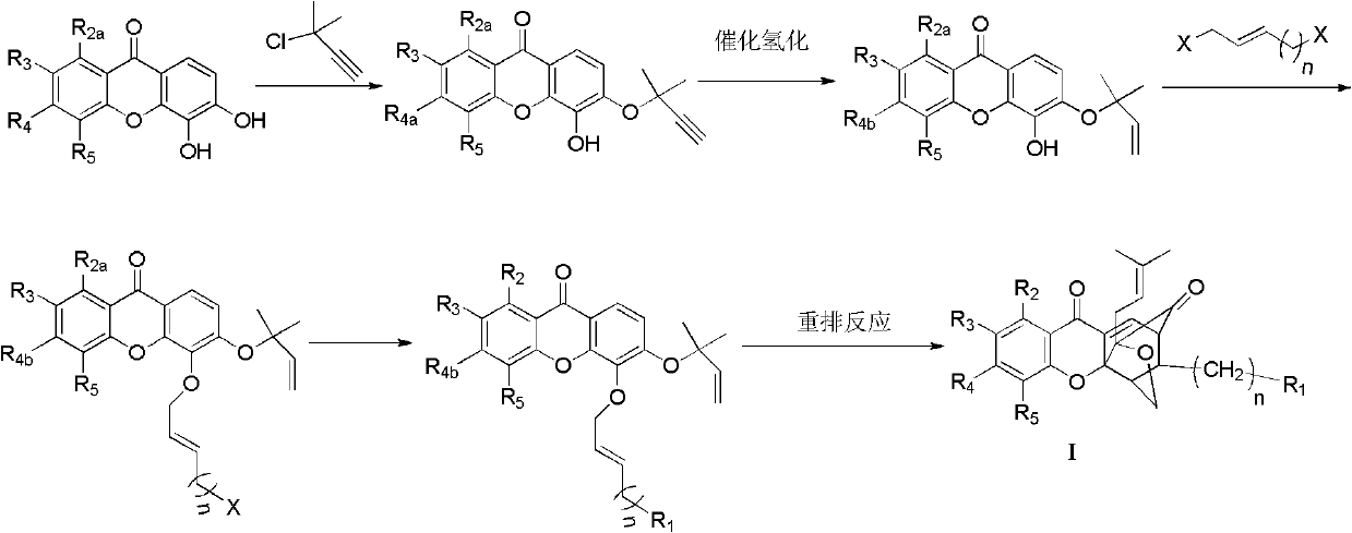 Garcinia derivative and preparation method and medicinal application thereof