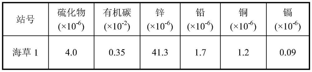 Method for repairing seaweed bed in marine ecosystem