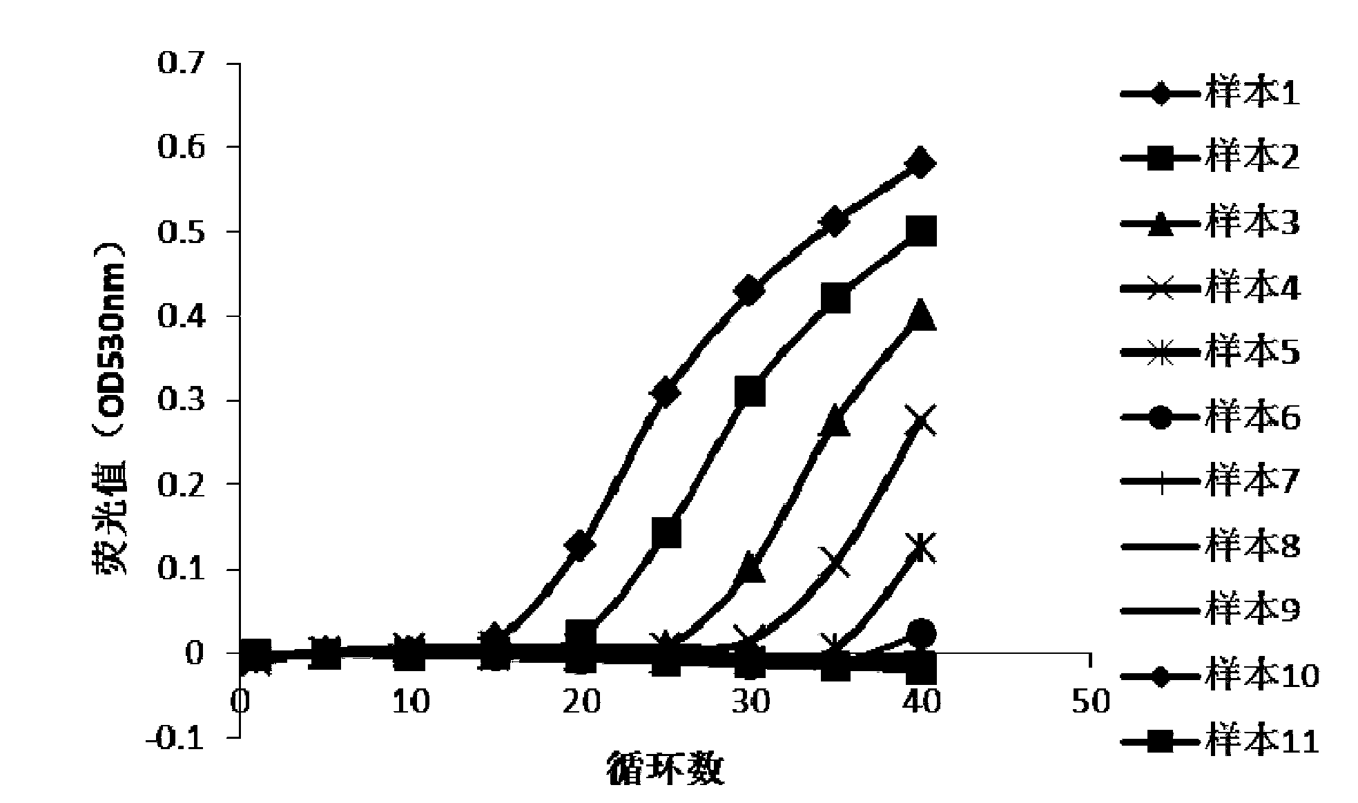 Primer pair and primer probe composition used for identifying human adenovirus type 55, and application thereof