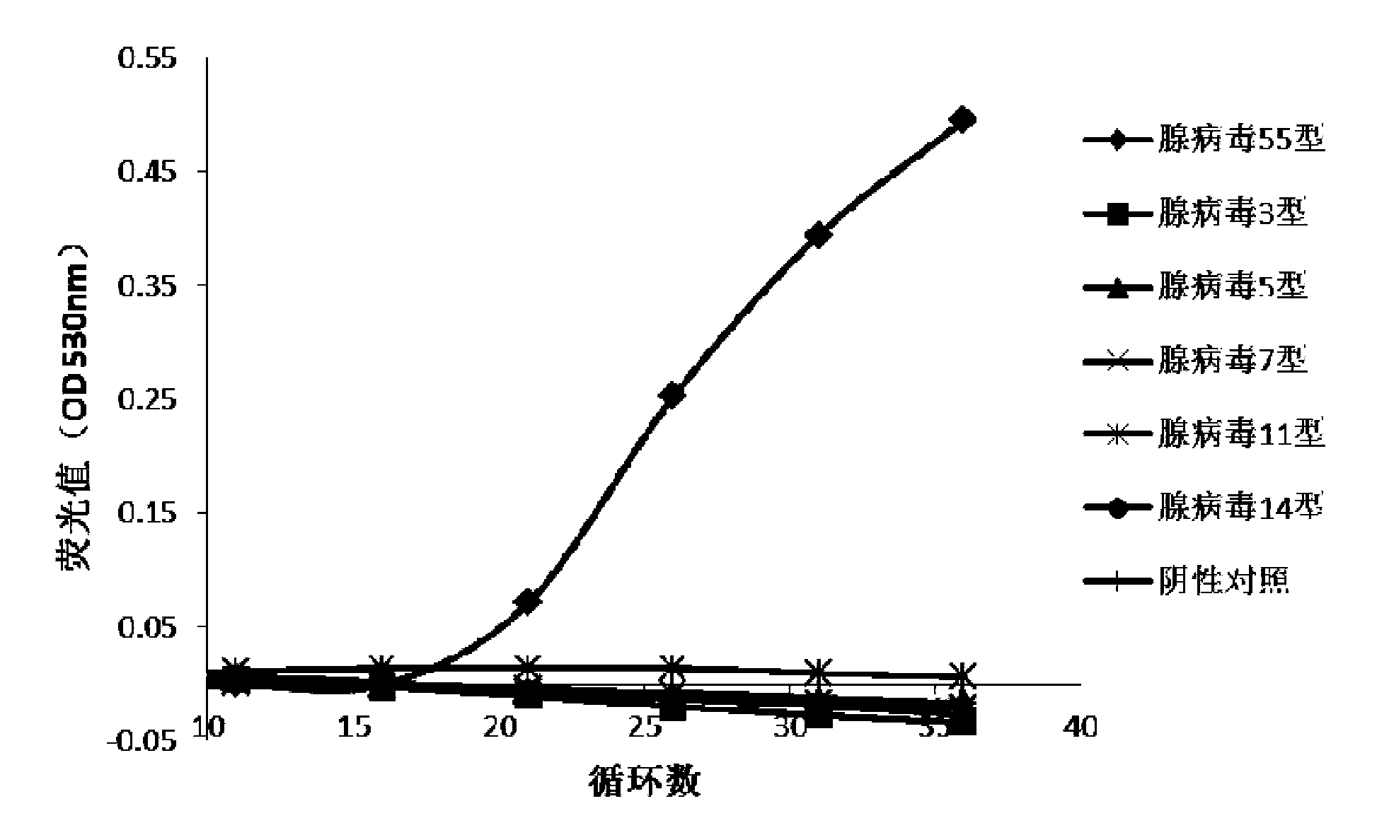 Primer pair and primer probe composition used for identifying human adenovirus type 55, and application thereof