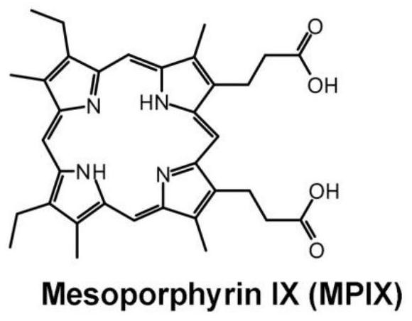 PDGFR-beta gene expression inhibitor and application thereof