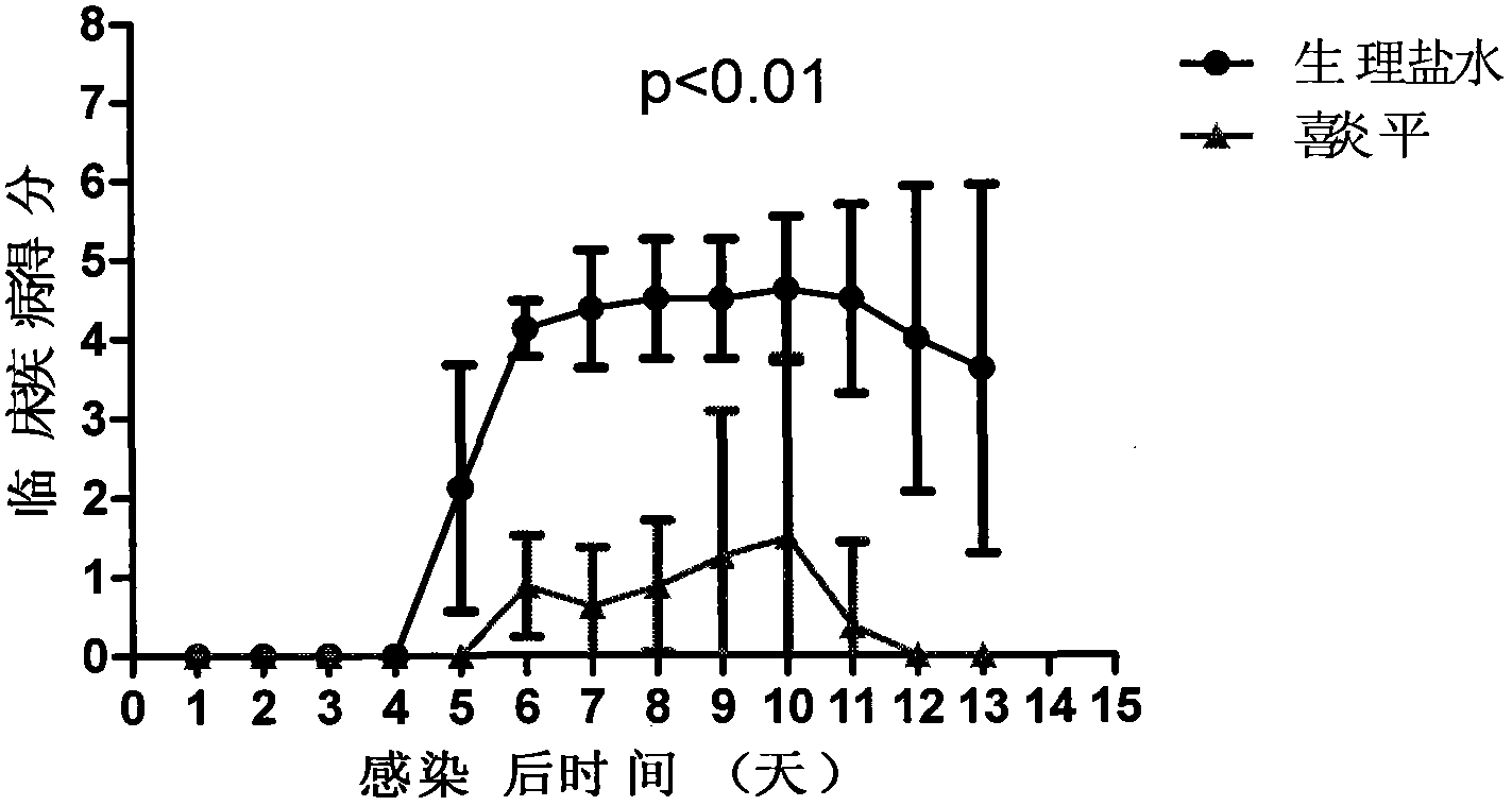 Use of andrographolide and its derivatives in preparation of drugs for preventing and treating hand-foot-and-mouth disease