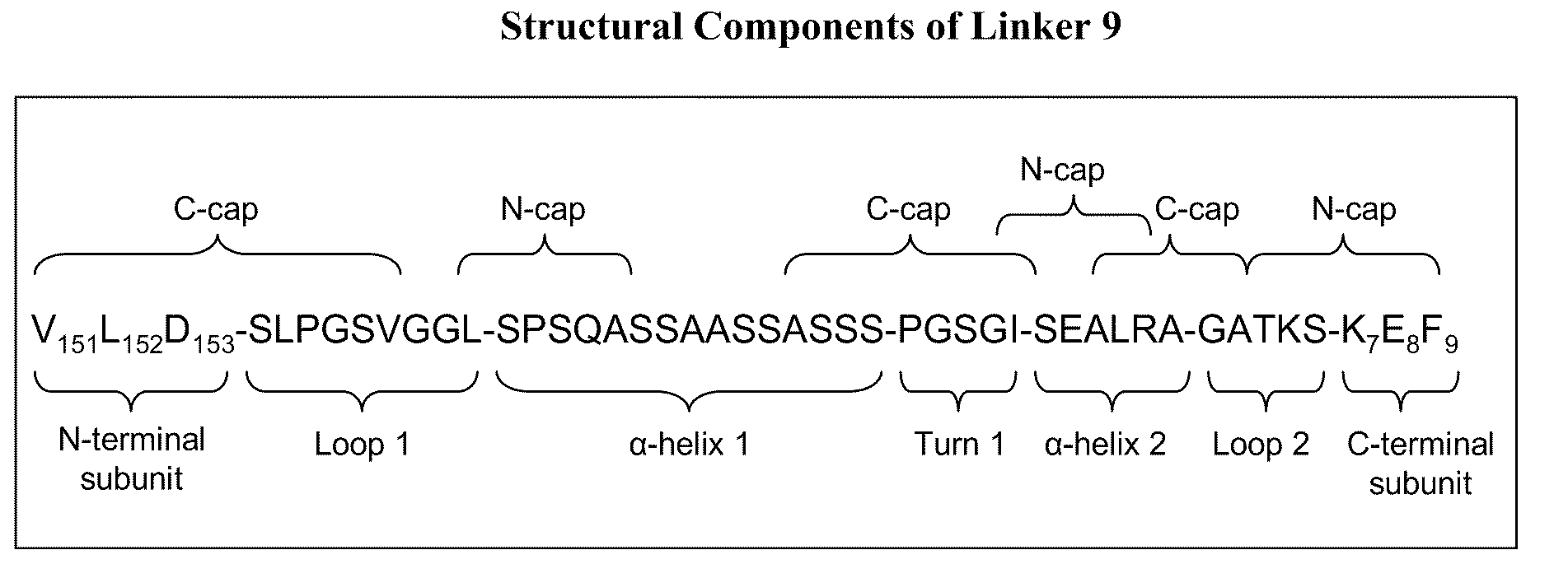 Rationally-designed single-chain meganucleases with non-palindromic recognition sequences