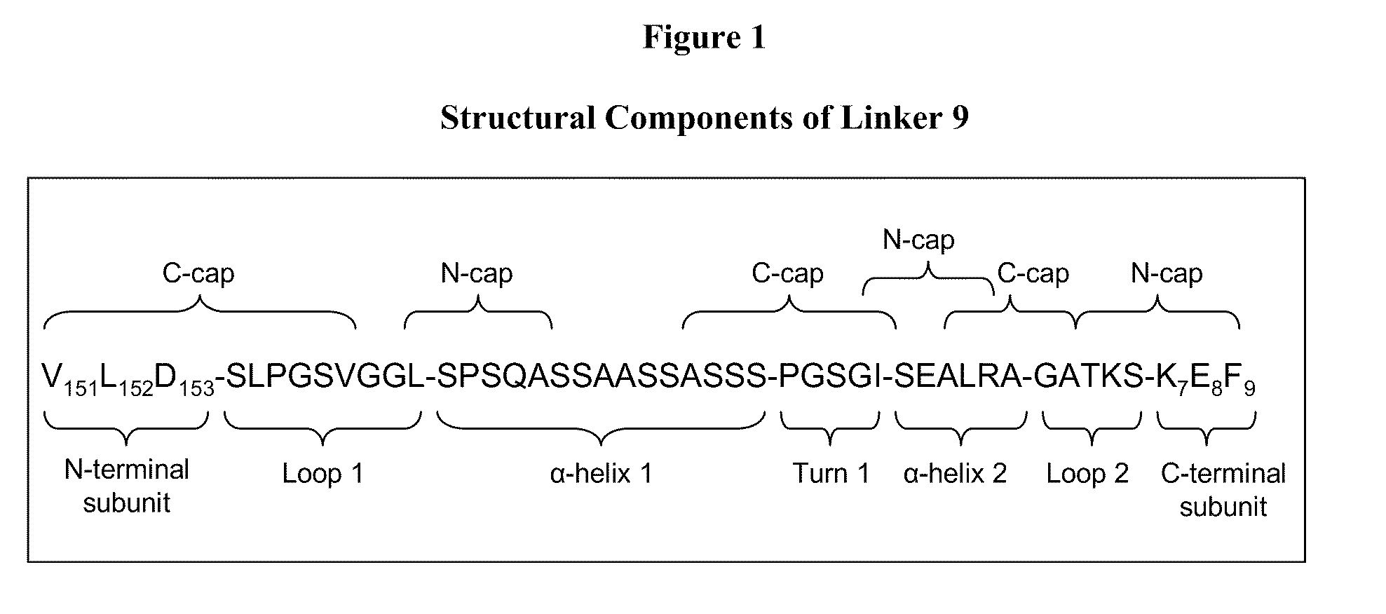 Rationally-designed single-chain meganucleases with non-palindromic recognition sequences