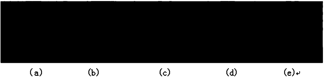 Thalamus nucleus partitioning method based on global connection characteristics and geodesic distance