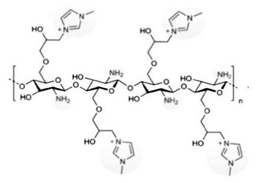 A kind of polymer composite protective film loaded with nano antibacterial peptide, preparation method and application