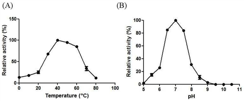 Beta-galactosidase and application thereof in lactose degradation