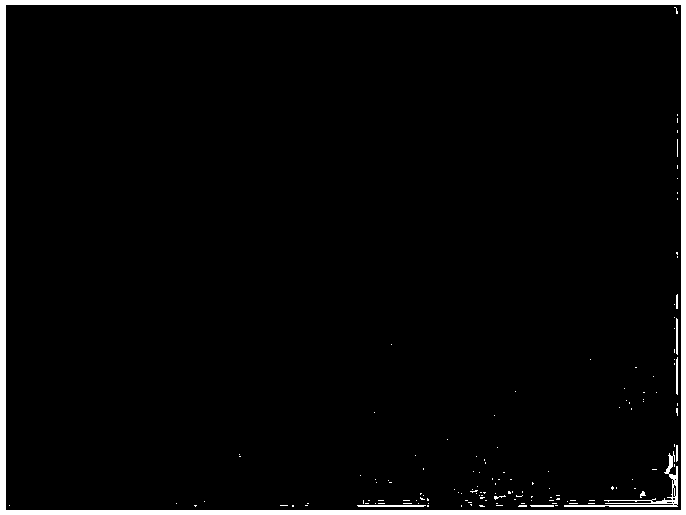 Aminotic cell culture medium, aminotic cell culture method, and application of culture medium