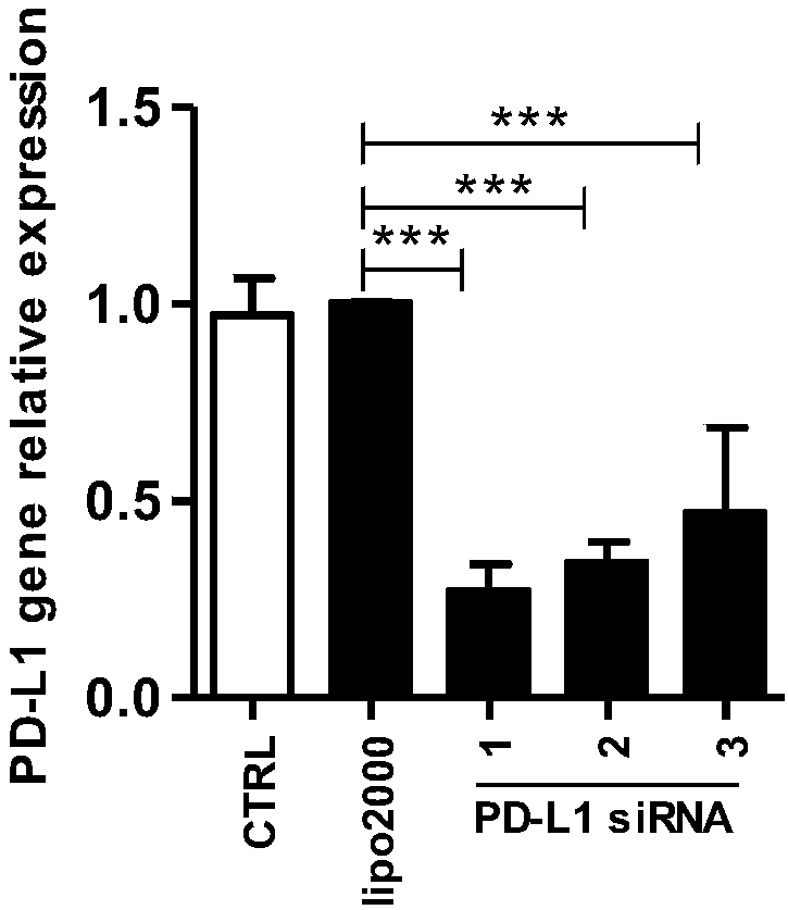 Application of bifunctional vector in inhibiting HBV (hepatitis B virus) infection