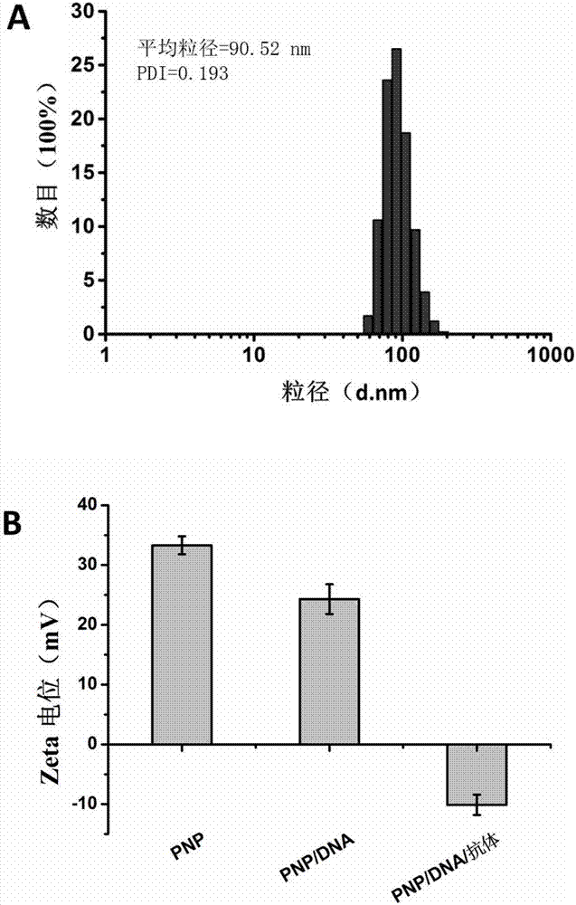 Target type polypeptide nanometer gene carrier compound