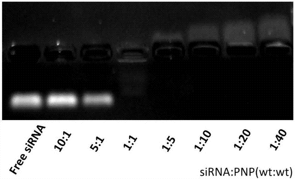 Target type polypeptide nanometer gene carrier compound