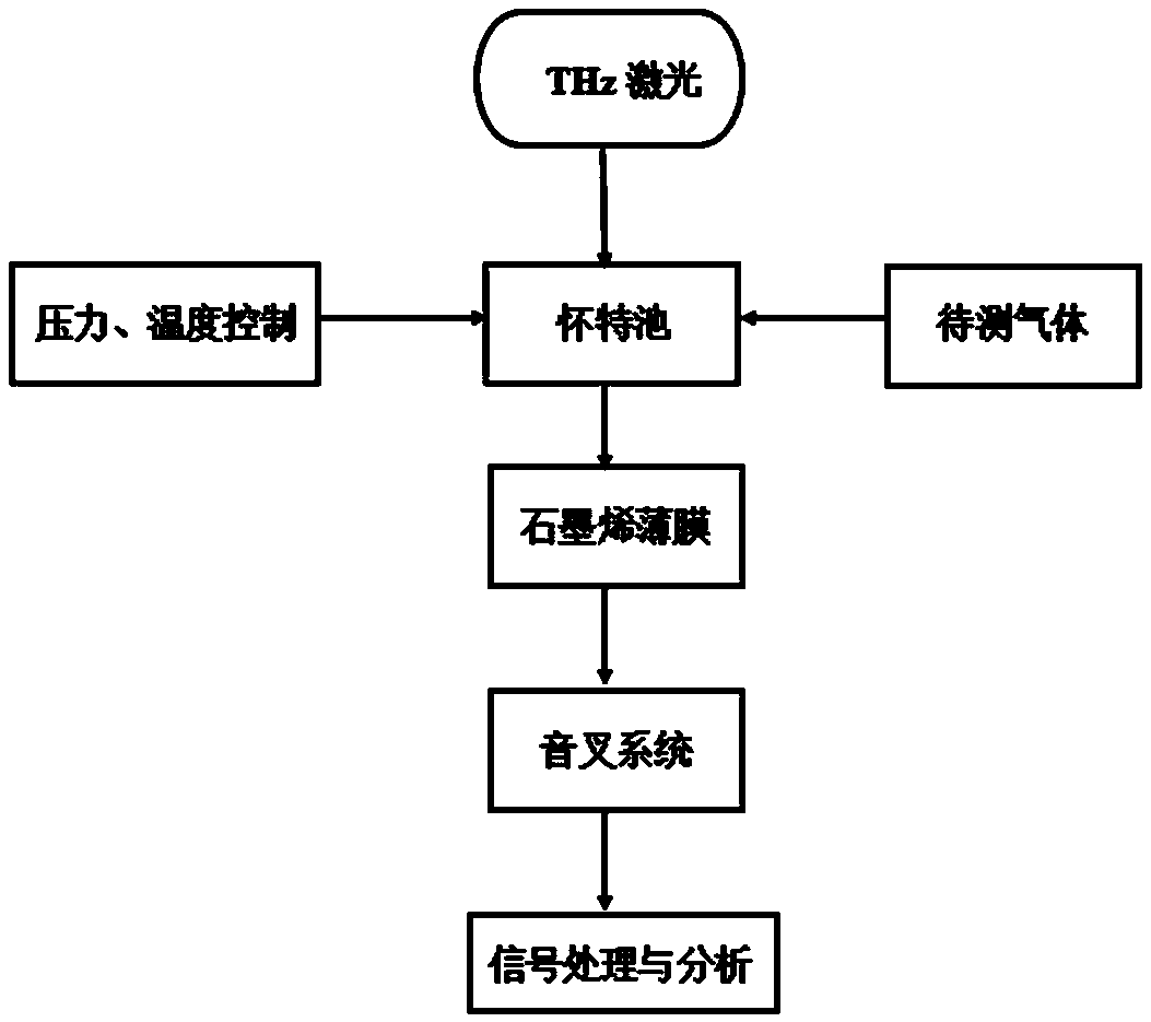 Terahertz gas detection system and method based on photoacoustic resonance detection