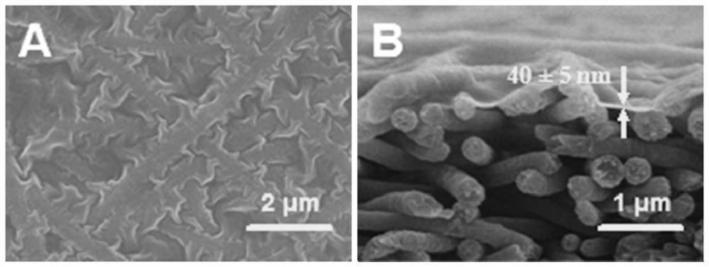 A method for preparing nanofiber-based composite nanofiltration membranes by low-temperature reverse interfacial polymerization